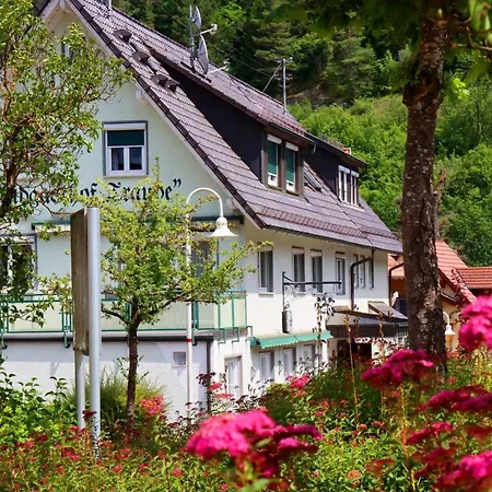 Apartment Nagoldtalblick