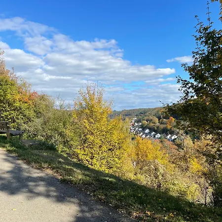 Nagoldtalblick * נאגולד